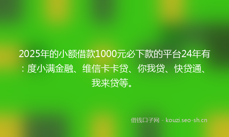 2025年的小额借款1000元必下款的平台24年有：度小满金融、维信卡卡贷、你我贷、快贷通、我来贷等。
