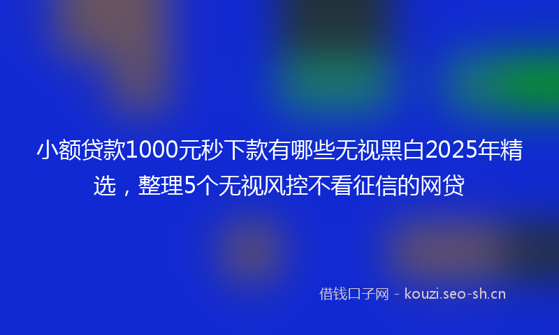 小额贷款1000元秒下款有哪些无视黑白2025年精选,整理5个无视风控不看征信的网贷