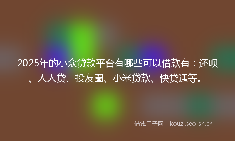 2025年的小众贷款平台有哪些可以借款有：还呗、人人贷、投友圈、小米贷款、快贷通等。