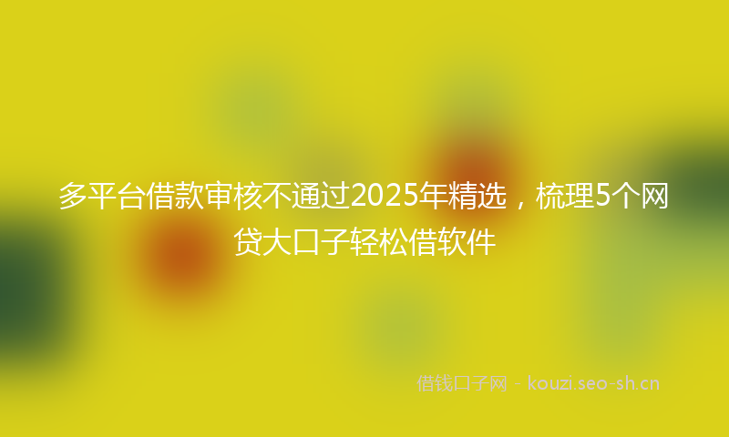 多平台借款审核不通过2025年精选，梳理5个网贷大口子轻松借软件