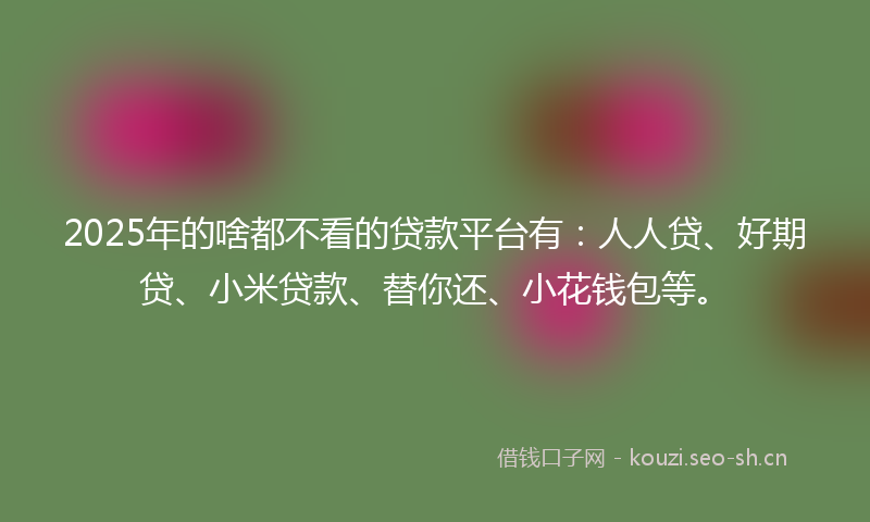 2025年的啥都不看的贷款平台有：人人贷、好期贷、小米贷款、替你还、小花钱包等。