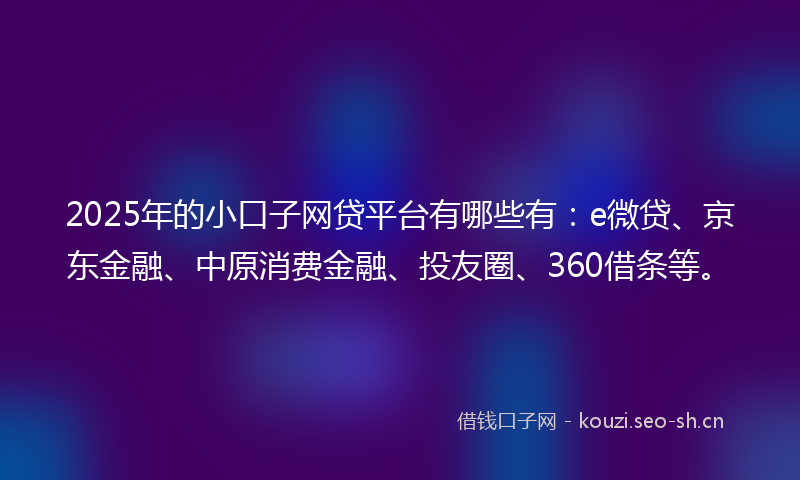 2025年的小口子网贷平台有哪些有：e微贷、京东金融、中原消费金融、投友圈、360借条等。