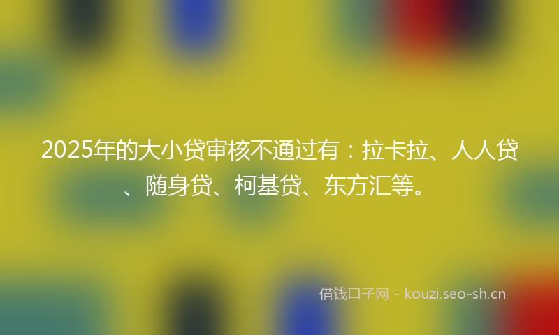 2025年的大小贷审核不通过有：拉卡拉、人人贷、随身贷、柯基贷、东方汇等。