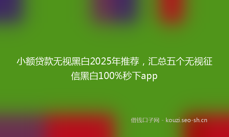小额贷款无视黑白2025年推荐，汇总五个无视征信黑白100%秒下app
