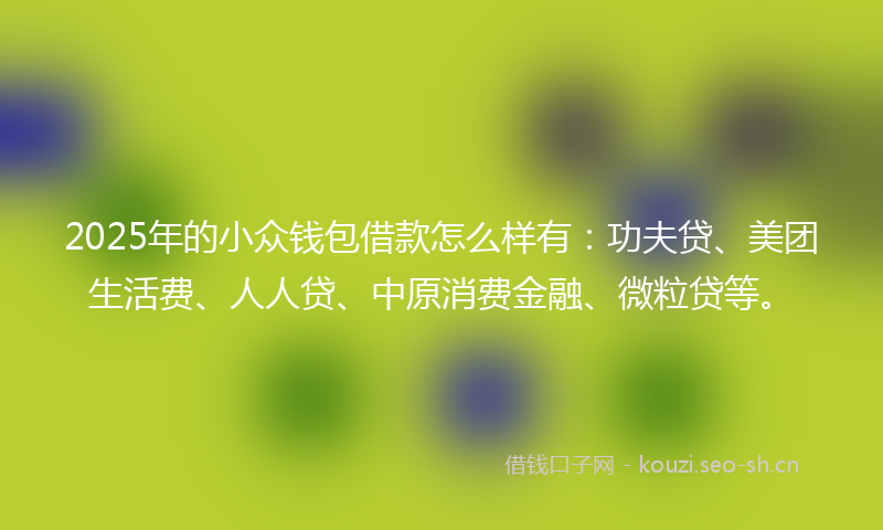 2025年的小众钱包借款怎么样有：功夫贷、美团生活费、人人贷、中原消费金融、微粒贷等。