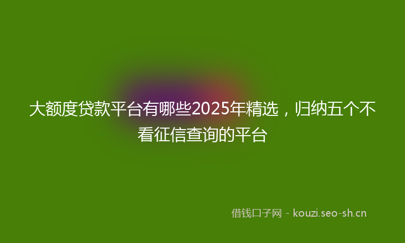 大额度贷款平台有哪些2025年精选，归纳五个不看征信查询的平台