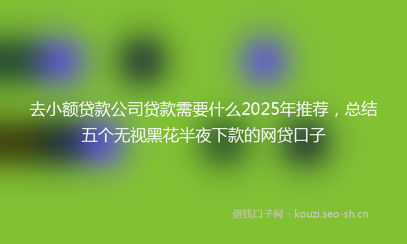 去小额贷款公司贷款需要什么2025年推荐，总结五个无视黑花半夜下款的网贷口子