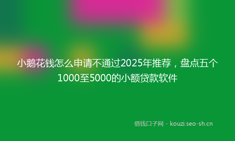 小鹅花钱怎么申请不通过2025年推荐，盘点五个1000至5000的小额贷款软件