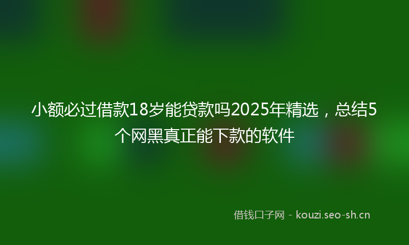 小额必过借款18岁能贷款吗2025年精选，总结5个网黑真正能下款的软件