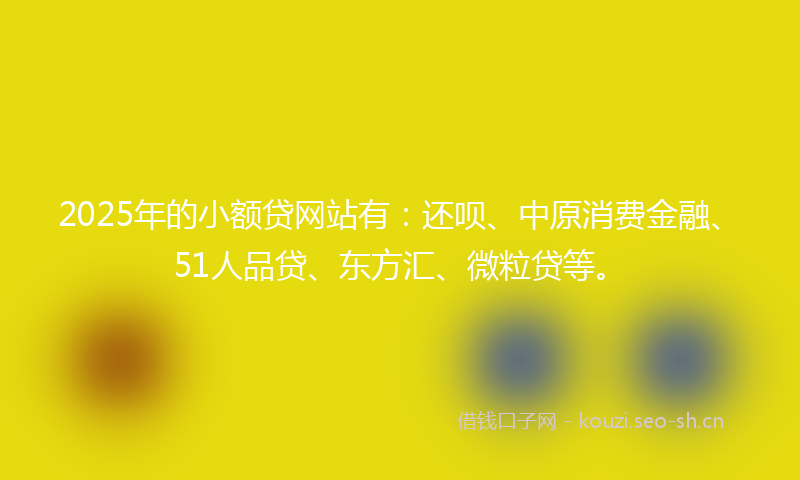 2025年的小额贷网站有：还呗、中原消费金融、51人品贷、东方汇、微粒贷等。