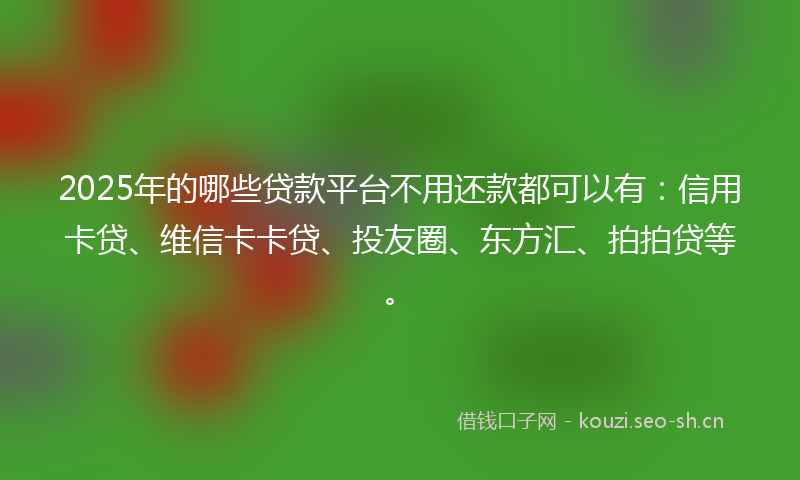 2025年的哪些贷款平台不用还款都可以有：信用卡贷、维信卡卡贷、投友圈、东方汇、拍拍贷等。