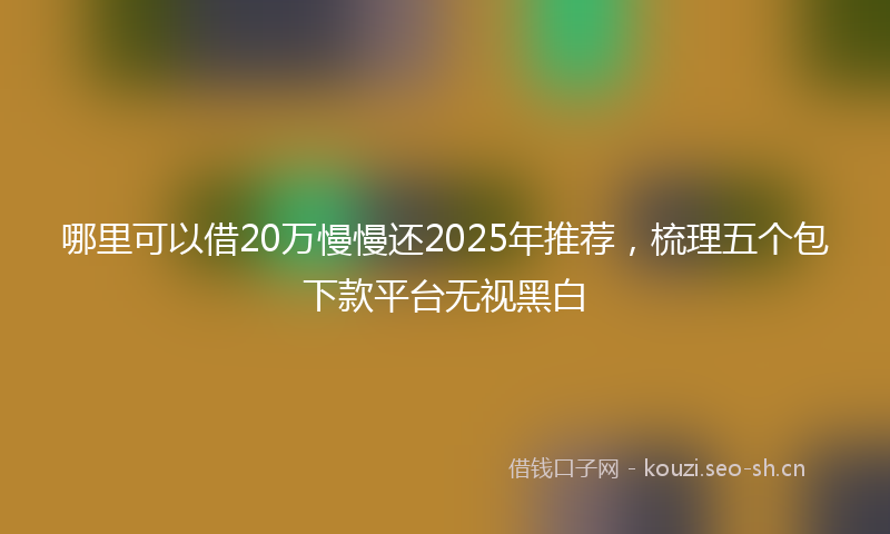 哪里可以借20万慢慢还2025年推荐，梳理五个包下款平台无视黑白
