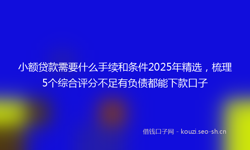 小额贷款需要什么手续和条件2025年精选，梳理5个综合评分不足有负债都能下款口子