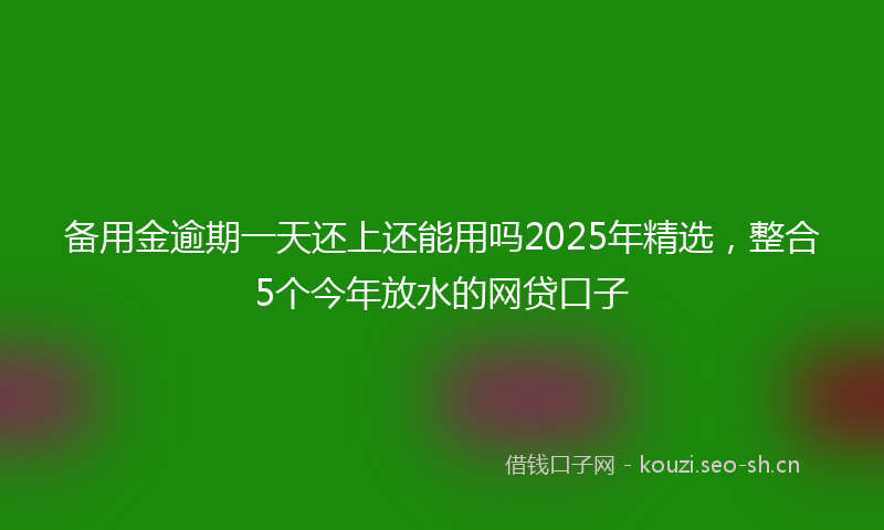 备用金逾期一天还上还能用吗2025年精选，整合5个今年放水的网贷口子