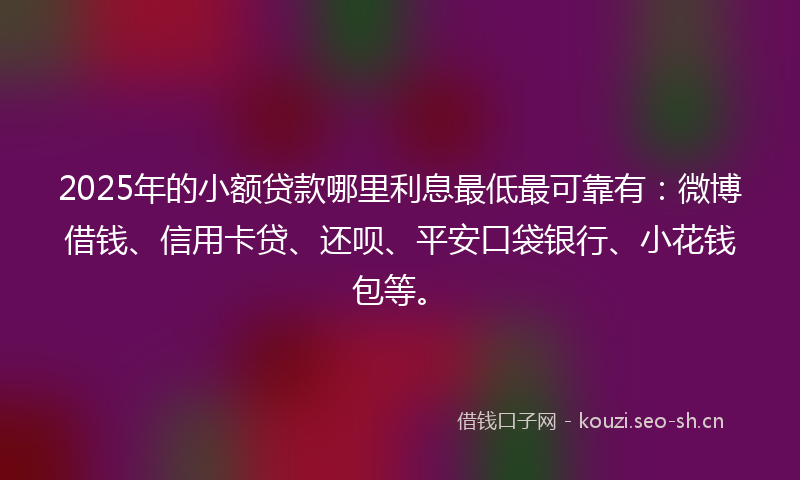 2025年的小额贷款哪里利息最低最可靠有：微博借钱、信用卡贷、还呗、平安口袋银行、小花钱包等。