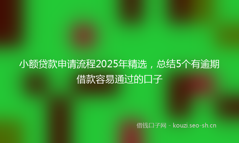 小额贷款申请流程2025年精选，总结5个有逾期借款容易通过的口子
