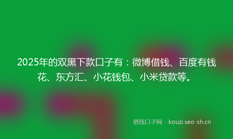 2025年的双黑下款口子有：微博借钱、百度有钱花、东方汇、小花钱包、小米贷款等。