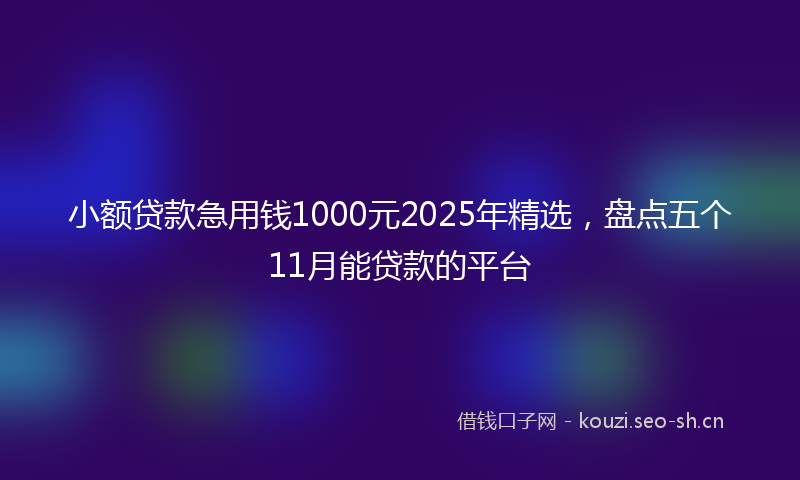 小额贷款急用钱1000元2025年精选，盘点五个11月能贷款的平台