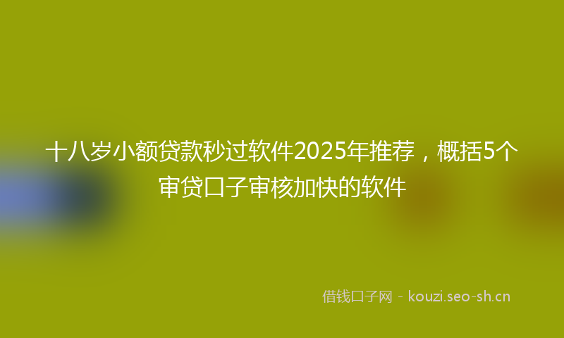 十八岁小额贷款秒过软件2025年推荐，概括5个审贷口子审核加快的软件
