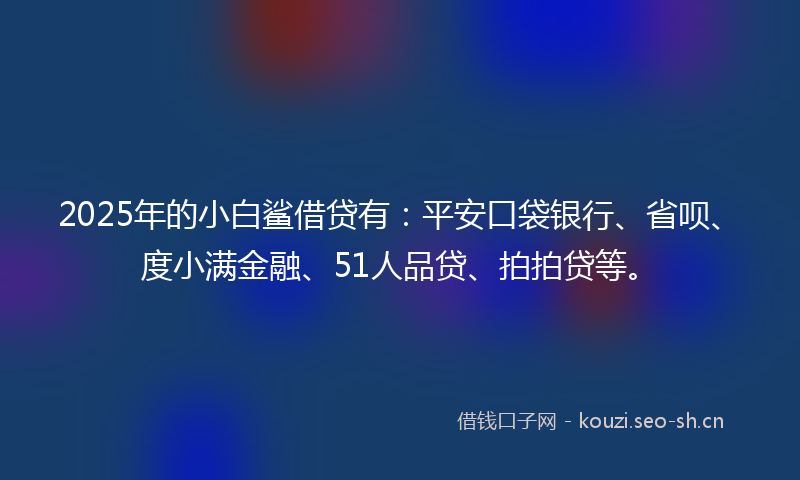 2025年的小白鲨借贷有：平安口袋银行、省呗、度小满金融、51人品贷、拍拍贷等。