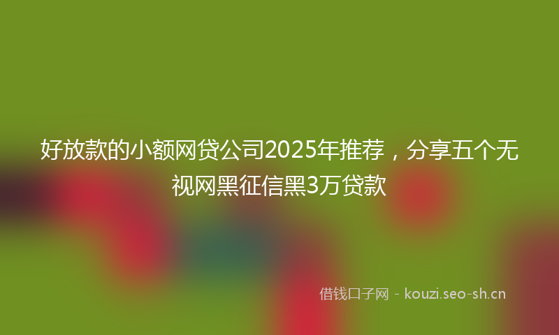 好放款的小额网贷公司2025年推荐，分享五个无视网黑征信黑3万贷款