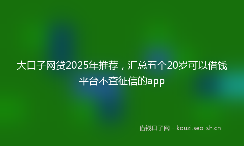 大口子网贷2025年推荐，汇总五个20岁可以借钱平台不查征信的app