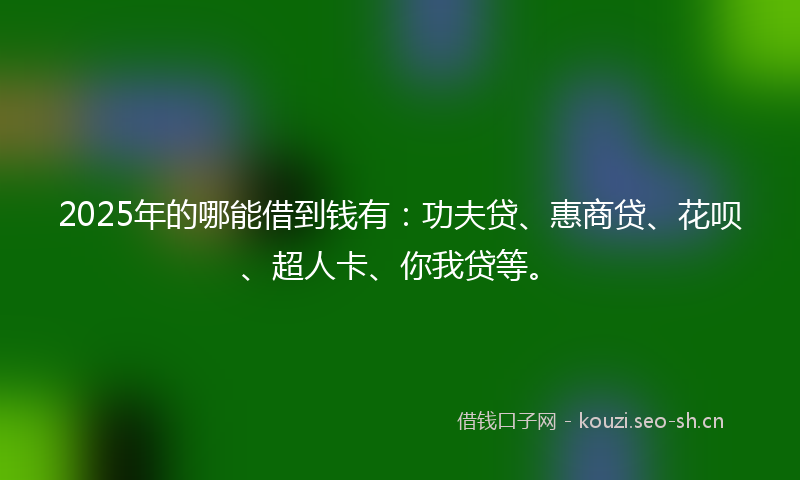 2025年的哪能借到钱有：功夫贷、惠商贷、花呗、超人卡、你我贷等。