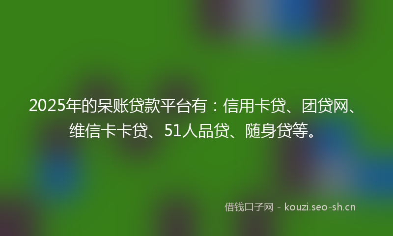 2025年的呆账贷款平台有：信用卡贷、团贷网、维信卡卡贷、51人品贷、随身贷等。