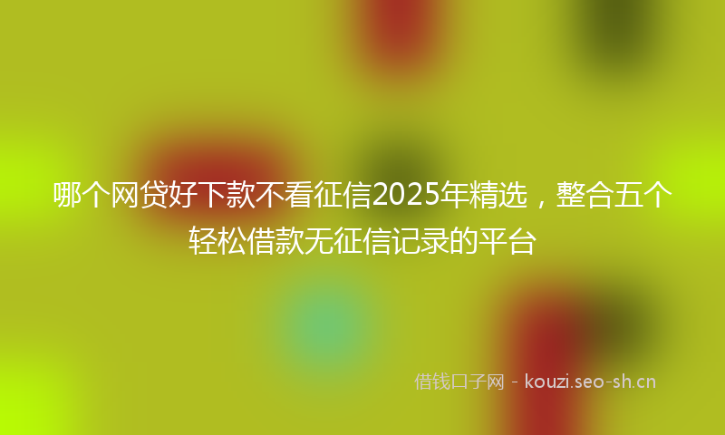 哪个网贷好下款不看征信2025年精选，整合五个轻松借款无征信记录的平台