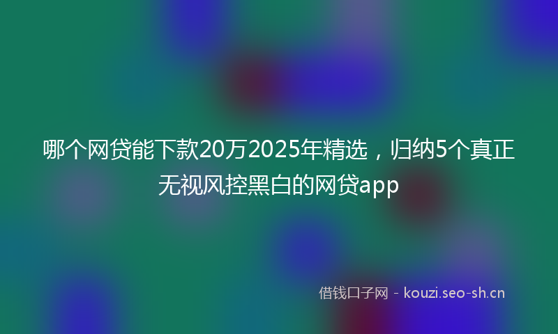 哪个网贷能下款20万2025年精选，归纳5个真正无视风控黑白的网贷app