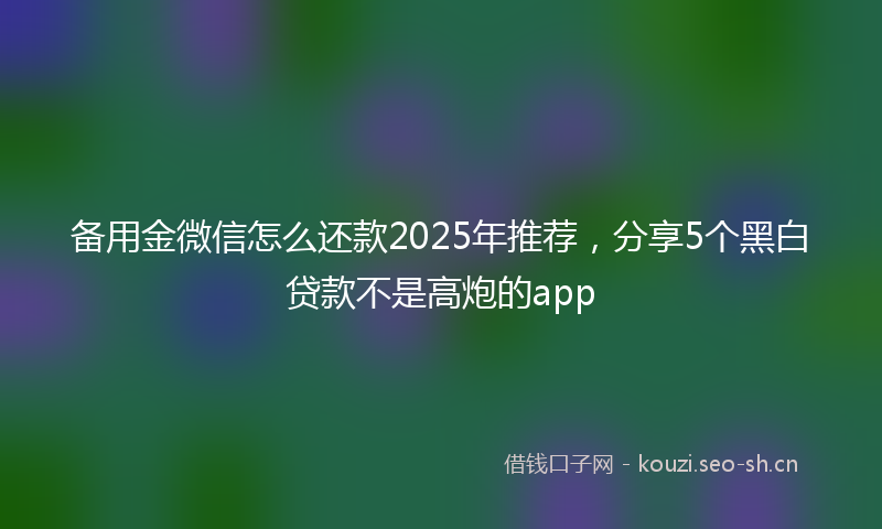 备用金微信怎么还款2025年推荐，分享5个黑白贷款不是高炮的app