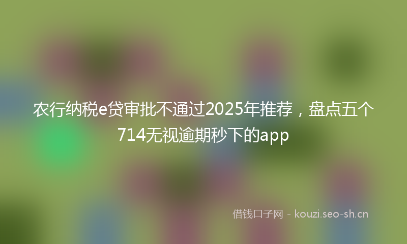 农行纳税e贷审批不通过2025年推荐，盘点五个714无视逾期秒下的app