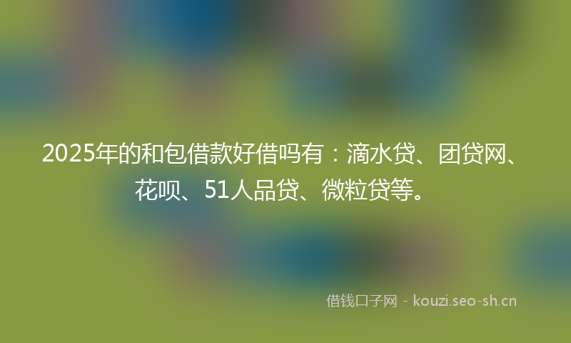 2025年的和包借款好借吗有：滴水贷、团贷网、花呗、51人品贷、微粒贷等。