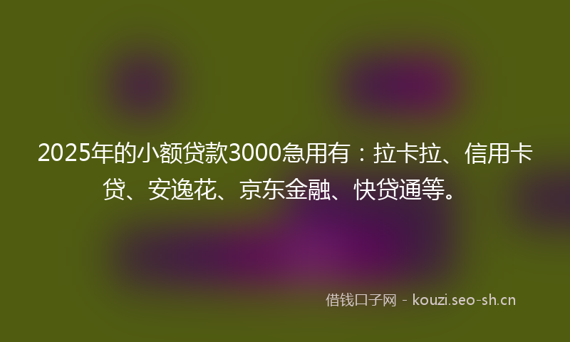 2025年的小额贷款3000急用有：拉卡拉、信用卡贷、安逸花、京东金融、快贷通等。