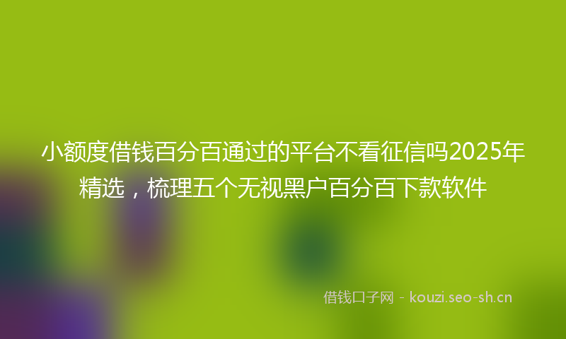 小额度借钱百分百通过的平台不看征信吗2025年精选，梳理五个无视黑户百分百下款软件