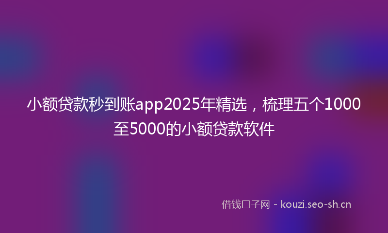 小额贷款秒到账app2025年精选，梳理五个1000至5000的小额贷款软件