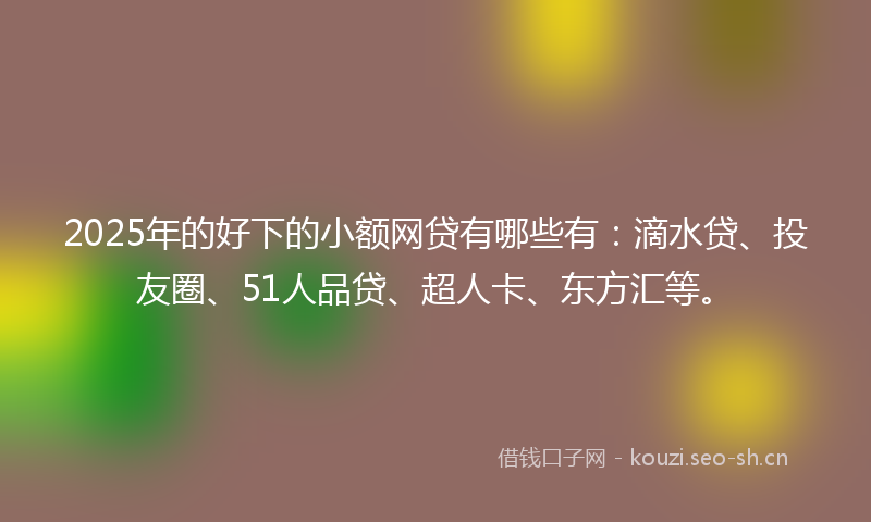 2025年的好下的小额网贷有哪些有：滴水贷、投友圈、51人品贷、超人卡、东方汇等。