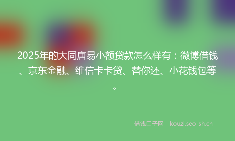 2025年的大同唐易小额贷款怎么样有：微博借钱、京东金融、维信卡卡贷、替你还、小花钱包等。