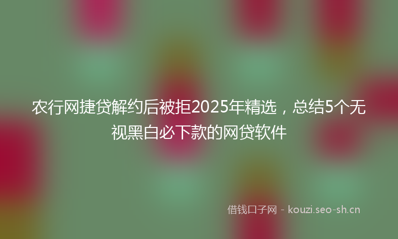 农行网捷贷解约后被拒2025年精选，总结5个无视黑白必下款的网贷软件