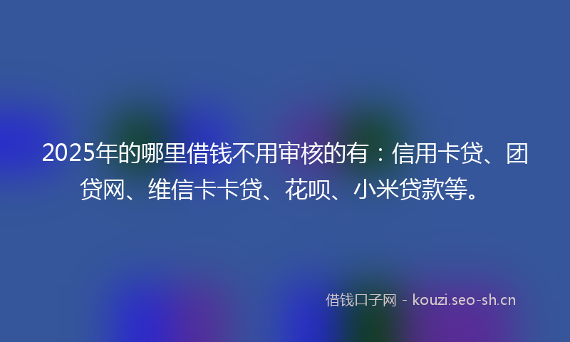 2025年的哪里借钱不用审核的有：信用卡贷、团贷网、维信卡卡贷、花呗、小米贷款等。