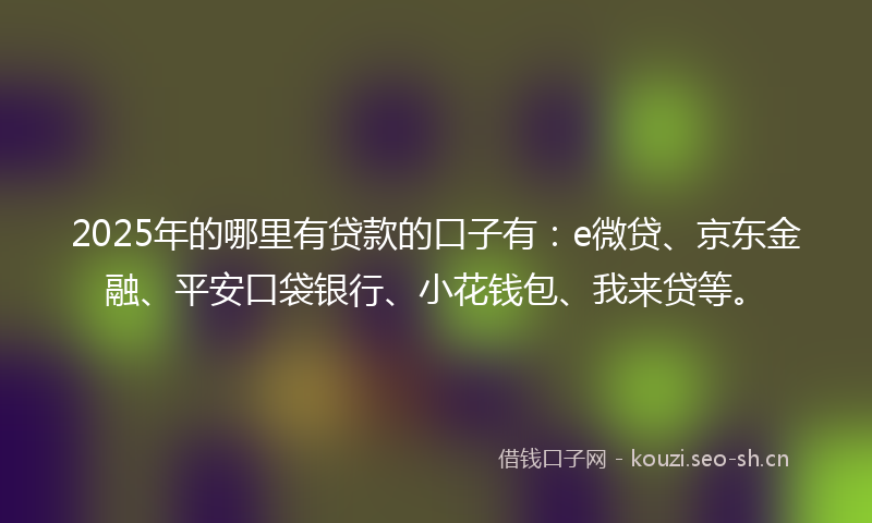 2025年的哪里有贷款的口子有：e微贷、京东金融、平安口袋银行、小花钱包、我来贷等。