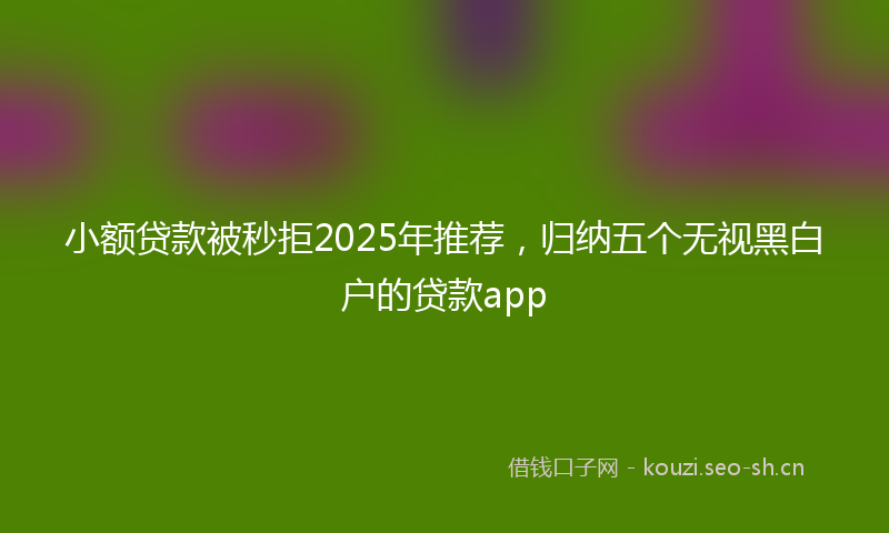 小额贷款被秒拒2025年推荐，归纳五个无视黑白户的贷款app