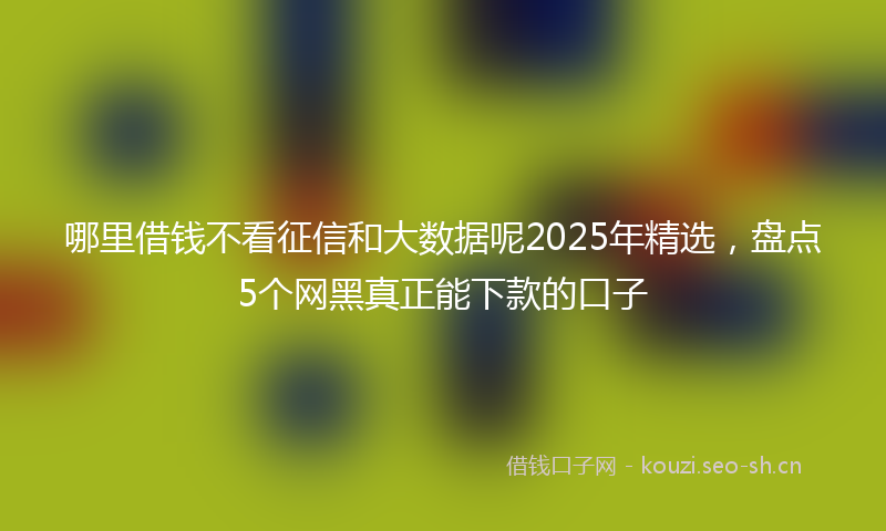 哪里借钱不看征信和大数据呢2025年精选，盘点5个网黑真正能下款的口子