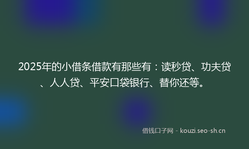 2025年的小借条借款有那些有：读秒贷、功夫贷、人人贷、平安口袋银行、替你还等。
