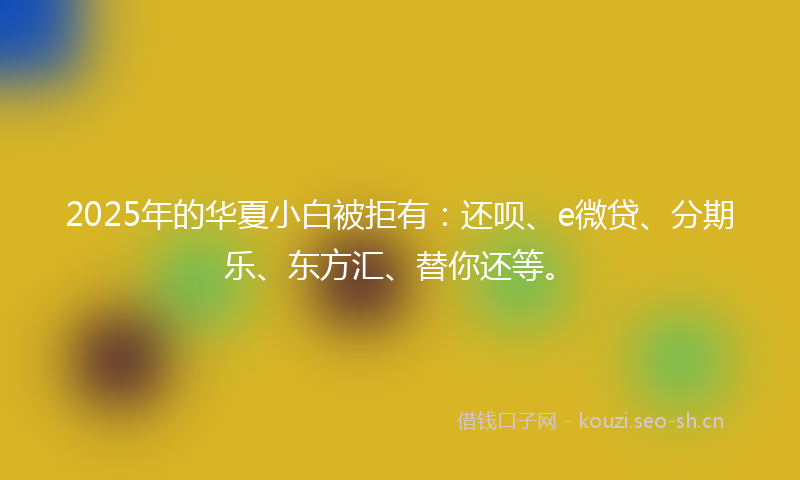 2025年的华夏小白被拒有：还呗、e微贷、分期乐、东方汇、替你还等。