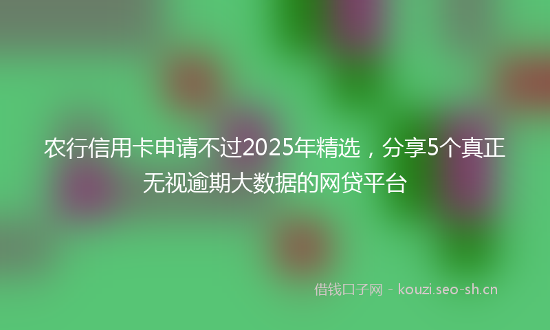 农行信用卡申请不过2025年精选，分享5个真正无视逾期大数据的网贷平台