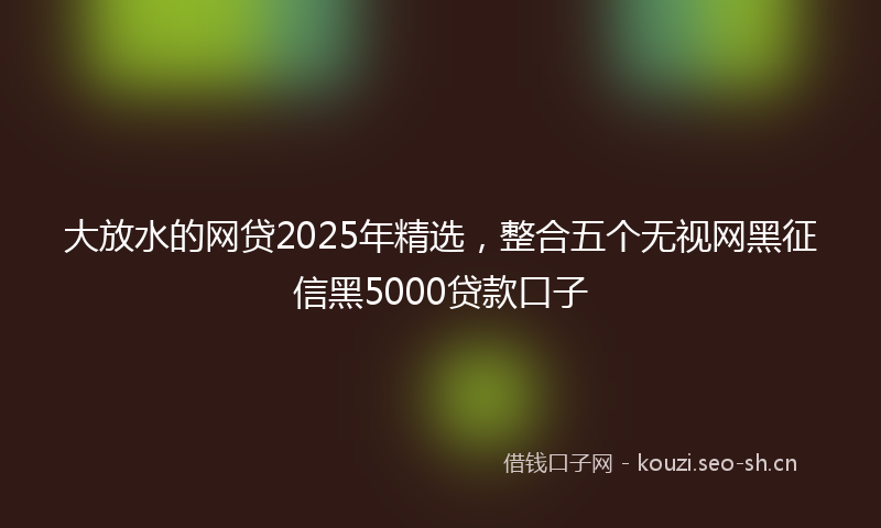大放水的网贷2025年精选，整合五个无视网黑征信黑5000贷款口子