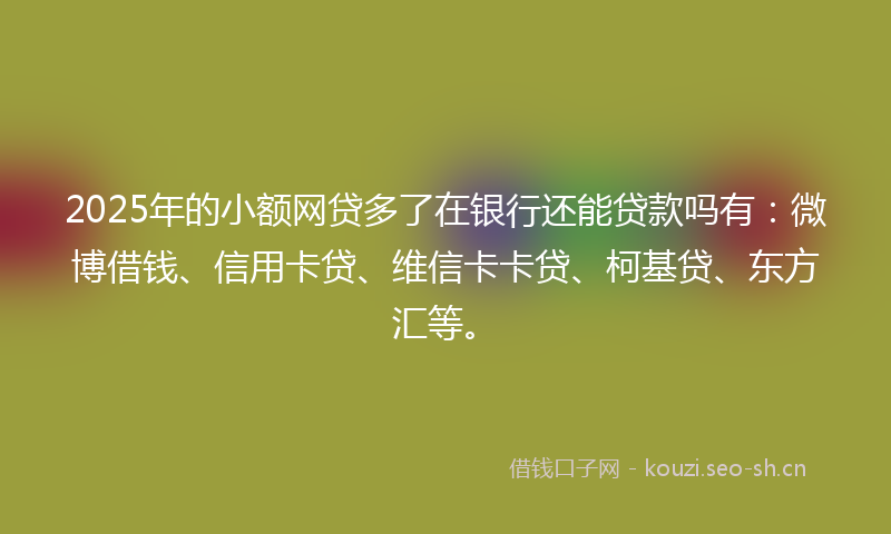 2025年的小额网贷多了在银行还能贷款吗有：微博借钱、信用卡贷、维信卡卡贷、柯基贷、东方汇等。