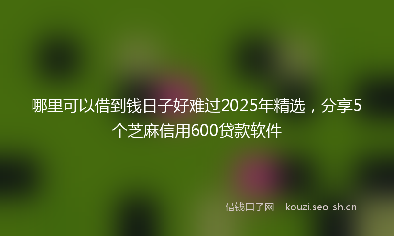 哪里可以借到钱日子好难过2025年精选，分享5个芝麻信用600贷款软件