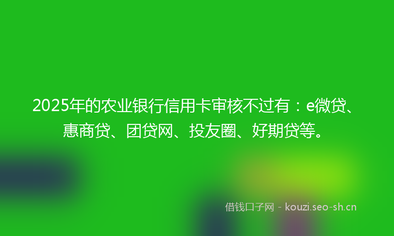 2025年的农业银行信用卡审核不过有：e微贷、惠商贷、团贷网、投友圈、好期贷等。